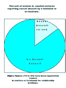 225px x 300px - Fact Sheet: Wife Rape